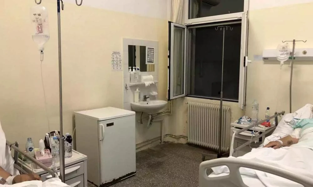 Σφήκες τσιμπούσαν ασθενείς στο νοσοκομείο Νίκαιας καταγγέλλει η ΠΟΕΔΗΝ